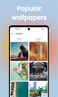 Walpix - 4K & HD Wallpapers Screenshot