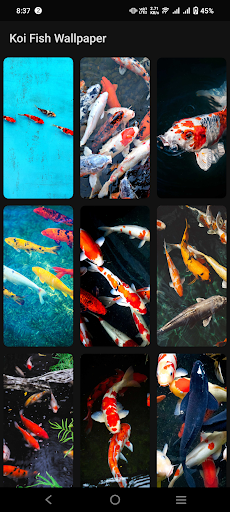Koi Fish Wallpaper Screen 2