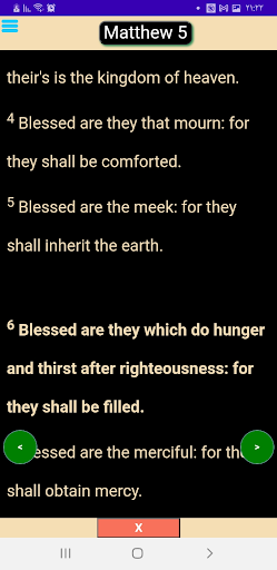 bible Screen 2