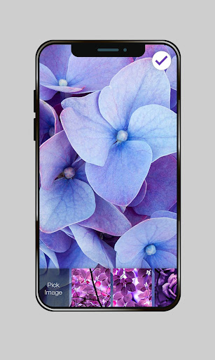 Purple Purple Flowers Roses Leaves PIN Lock