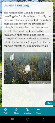 Canal Safari Screen 3