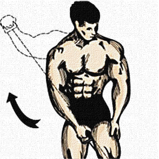 Shoulder workouts  Icon