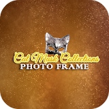 Cat Mask Collections Photo Frames icon