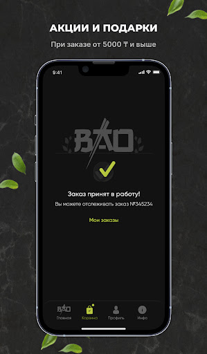 BAO Screen 3