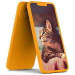 Cover Image of Tải xuống Cat Wallpaper  APK