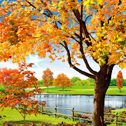 Autumn Pond Live Wallpaper