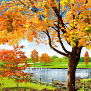 Top 40 Personalization Apps Like Autumn Pond Live Wallpaper - Best Alternatives