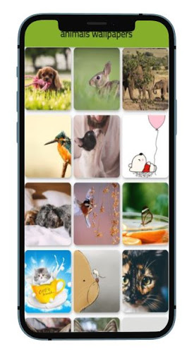 Animals wallpapers 2021