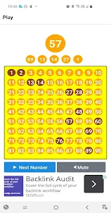 Tambola Fun - Number Calling A