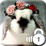 Hare Rabbit Lock icon
