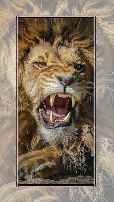ライオンの壁紙のおすすめ画像5