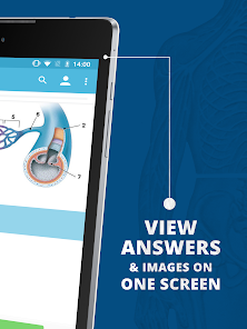 Screenshot 8 USMLE Clinical Anatomy android