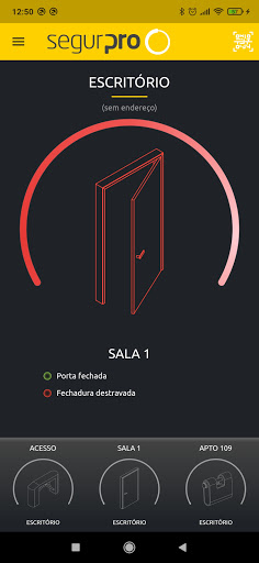 Segurpro Access Screen 3