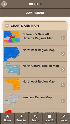 CO eFOG Screen 2