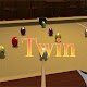 TWIN - 3D Billiard games