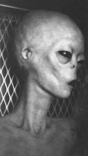 Real Alien Sighting Wallpapers