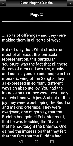 Discerning the Buddha Screen 3