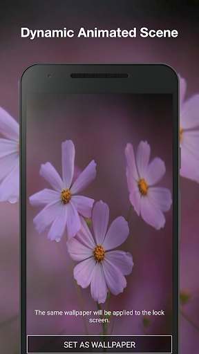 Real Flowers Wallpaper Pro Screen 2