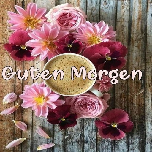 Guten Morgen Bilder GIFs 2023 Download on Windows