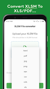 XLSM File Opener Reader Editor