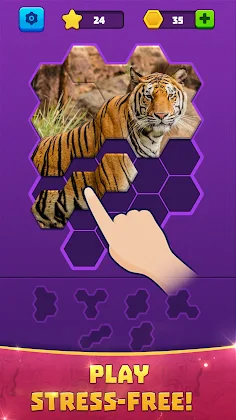 Hex Block Jigsaw - Screenshot 2