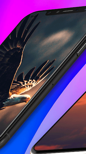 Eagle Wallpaper Live Screen 2