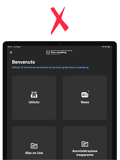 I.I.S.S. Rosa Luxemburg