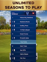 Golf Solitaire: Pro Tour