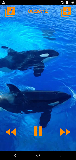 Android application Whales songs to sleep screenshort