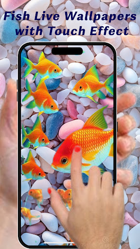 Koi Fish Live Wallpapers HD 4K Screen 2