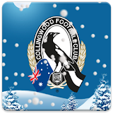 Collingwood Snow Globe icon