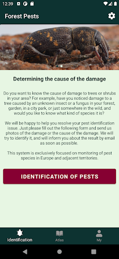 Android application Forest pests screenshort