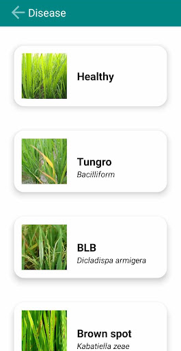 Android application Rice Disease Identifier screenshort
