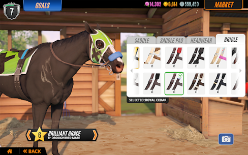Rival Stars Horse Racing (Unlimited Money and Gold) 13