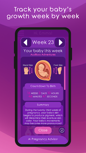 Maternal Journey Pregnancy App