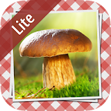 Pilze sammeln & bestimmen LITE icon