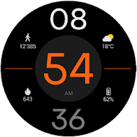 Toggle Watch Face