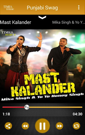 Punjabi Swag Screen 3