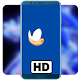 HD Hedgehog Wallpaper 2020 Download on Windows