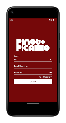 Android application Pinot + Picasso screenshort