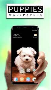 Cute Puppies Wallpapers 4k HD