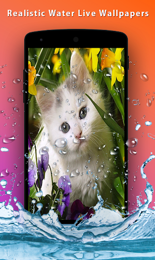 Funny Cat Live Wallpaper