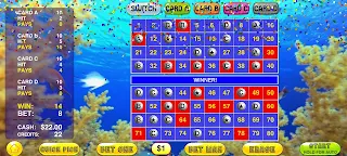 Multi Card Keno - Four Card - Screenshot 3