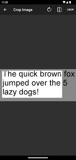 Teext Extraactor & Translator Screen 3