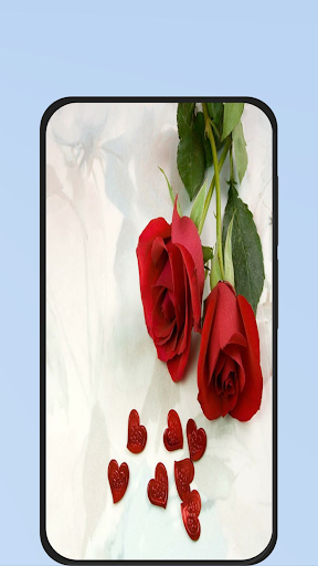 red rose love Screen 2