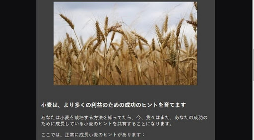 super wheat cultivation