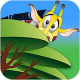 Animal Hide and Seek for Kids icon