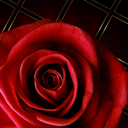 Rose Go Locker Theme logo