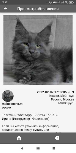 Домашние животные