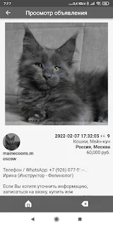 Домашние животные screenshot 5